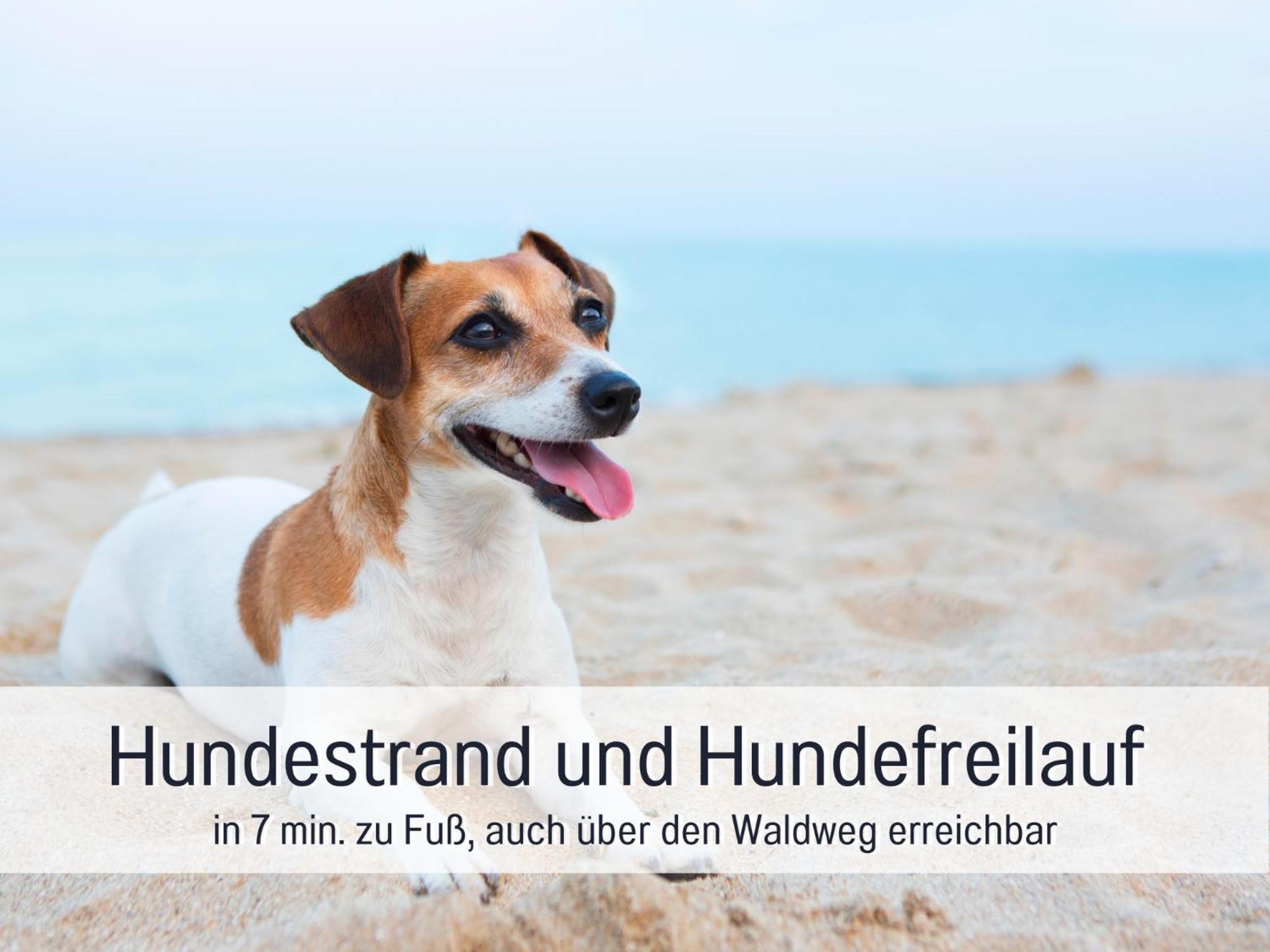 Strandloft Cuxhaven Im Haus Frauenpreiss Sahlenburg - Strandnah - 2 Hunde Willkommen -Schwimmbad - Sauna - Direkt Am Wald - Dachterrasse Mit Blick Nach Neuwerk Ngoại thất bức ảnh